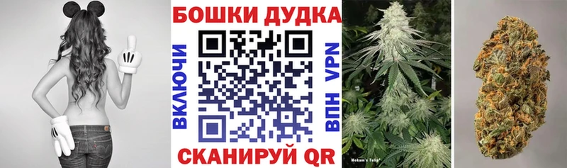 Бошки Шишки OG Kush  Купить где  Костерёво 